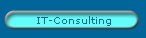 IT-Consulting